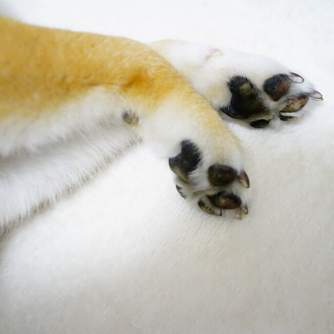 chinatsu.kのカバー写真