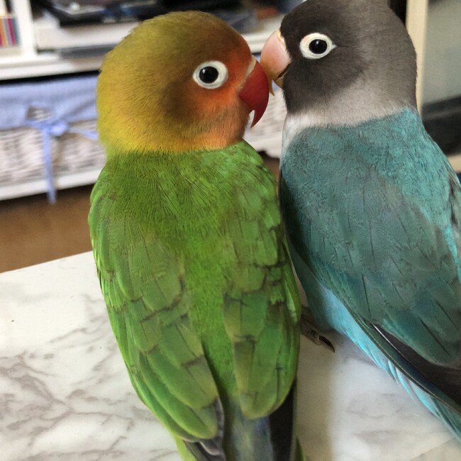 ゆーーーんのカバー写真