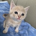里親さま決まりました☆