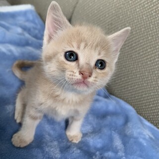 里親さま決まりました☆