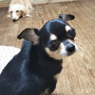 素敵なご縁を頂きました☺️