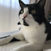 たま