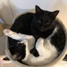 親子でギュウギュウ