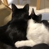 幸せな後ろ姿