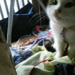 1~2日預かってもらえるところ