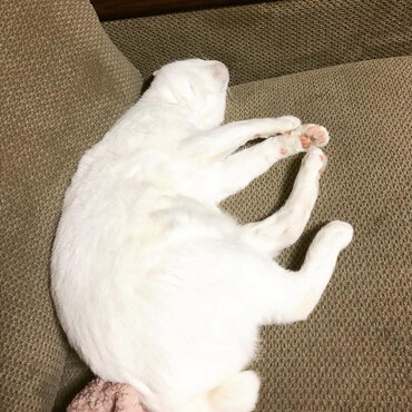 の写真