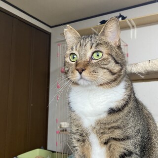 ポン太君に愛情たっぷり注いでやって下さい