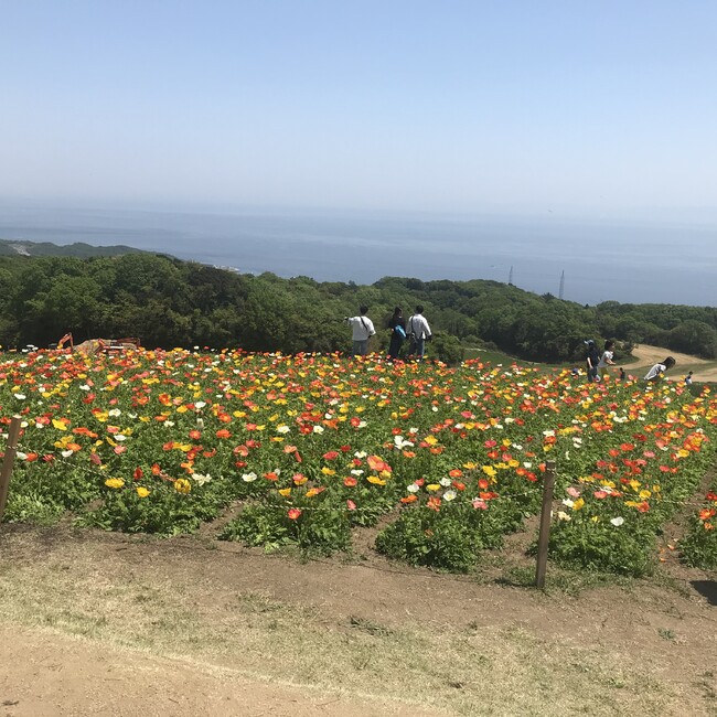 福笑1060のカバー写真