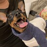 るくちゃん