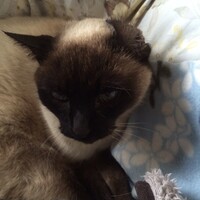 ニーさん