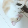 ひとみきょうか