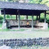 ホタル 