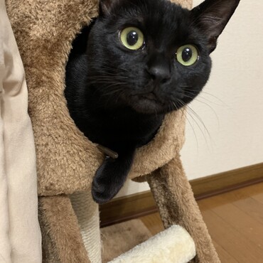 の写真