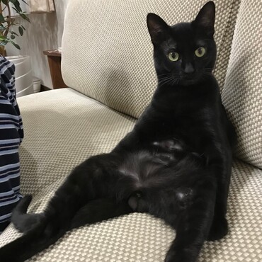 の写真