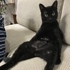 の写真