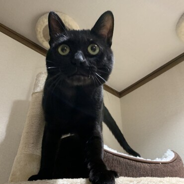 の写真