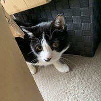 ひかる
