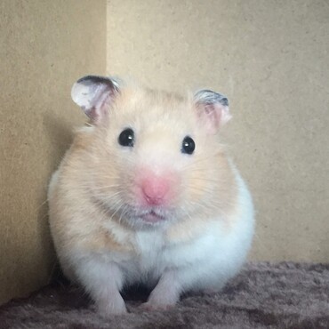 ベストショット♡