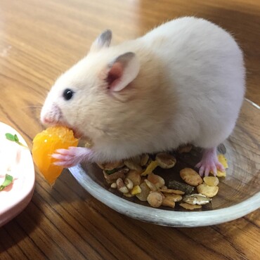 いっぱい食べるぞ〜♡