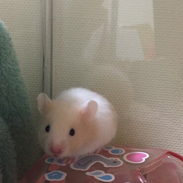 可愛い♡