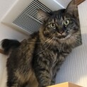 里親決定☆エリカちゃん