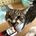 幸運のかぎしっぽ☆ももたろうくん