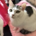 里親決定☆ユメ