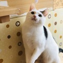 里親決定☆ミルクくん