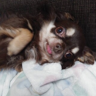 甘えん坊だけどちょっぴり気難しい男の子