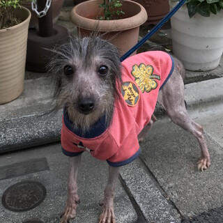 体重3kg台。小さくて元気