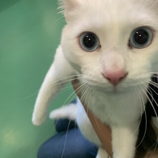 活発！人馴れ抜群！たんじろう