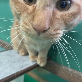 センターちゃたろう☆