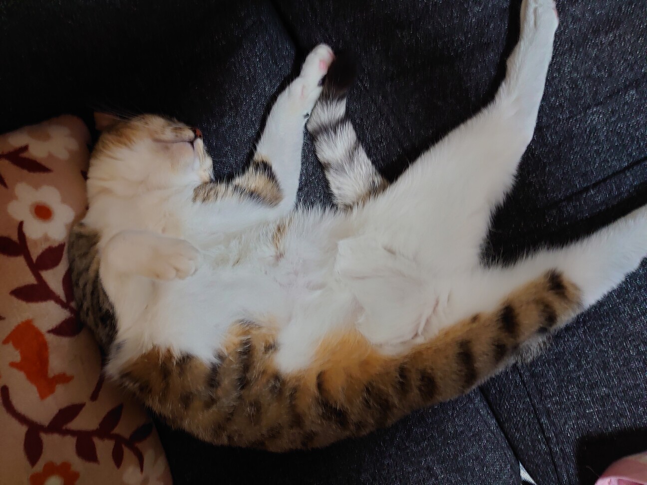 【相談中】ストーカー予備軍のくうちゃん サムネイル5