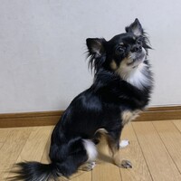 市川 神