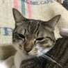 ちぴ