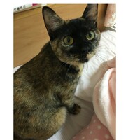 りん