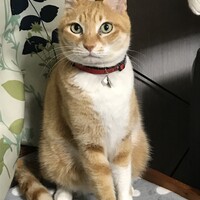 ミー