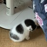 雪だるま体型…