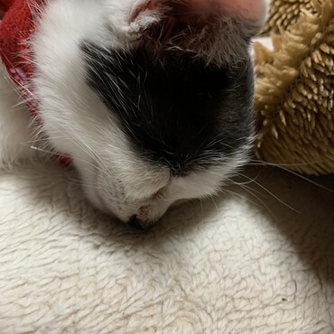 ぐっすり…