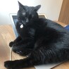 クロ流Macの使い方