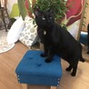 ミニスツールに乗ってポーズ