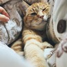 たなかさきえ