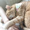 ぎゅっ