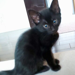 出迎え上手な“ロック君”