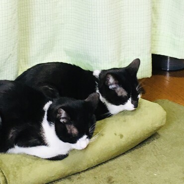 の写真