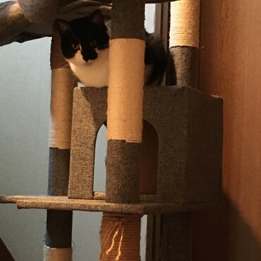 の写真