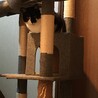 の写真