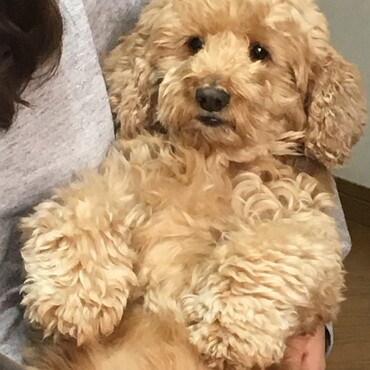 の写真