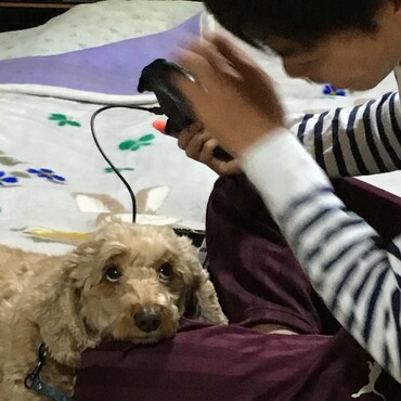 の写真