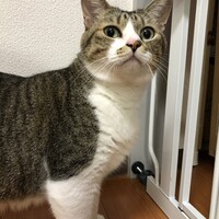 るな